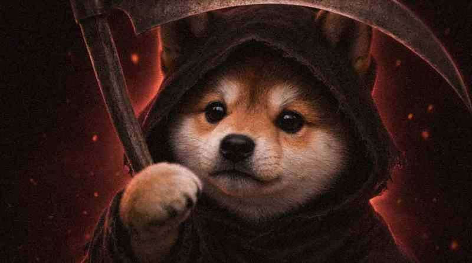 The reaper inu staring into the camera, knocking on your screen